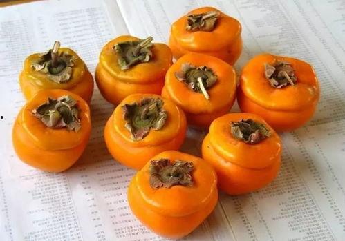 网红小柿吃瓜,揭秘娱乐圈幕后真相